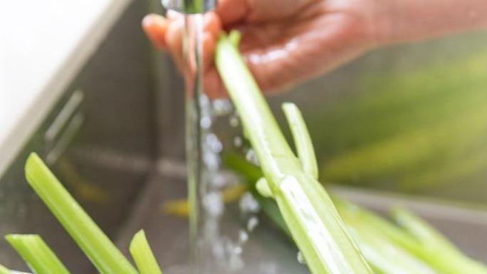 专家不建议生食水生蔬菜 有感染肝片形吸虫病风险