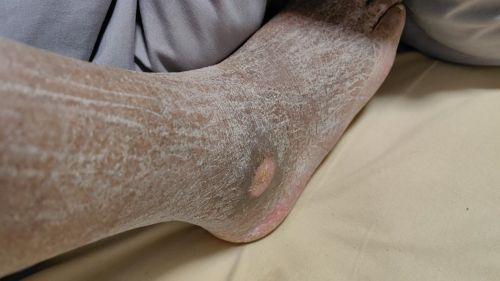 74e2fe231f68061a123f7a4a745c346