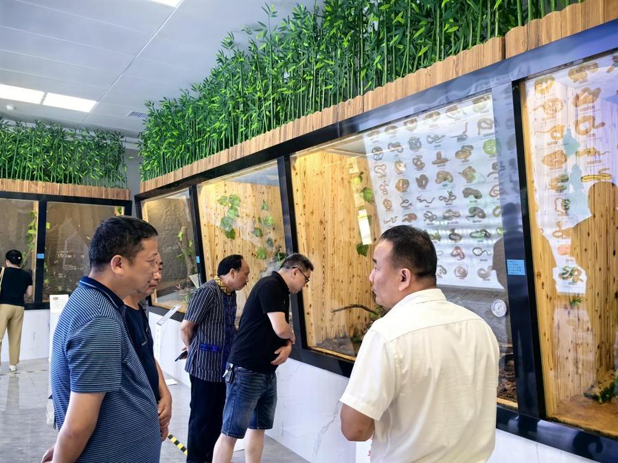 6540424b43bef8f9c70b24b42cea3ce