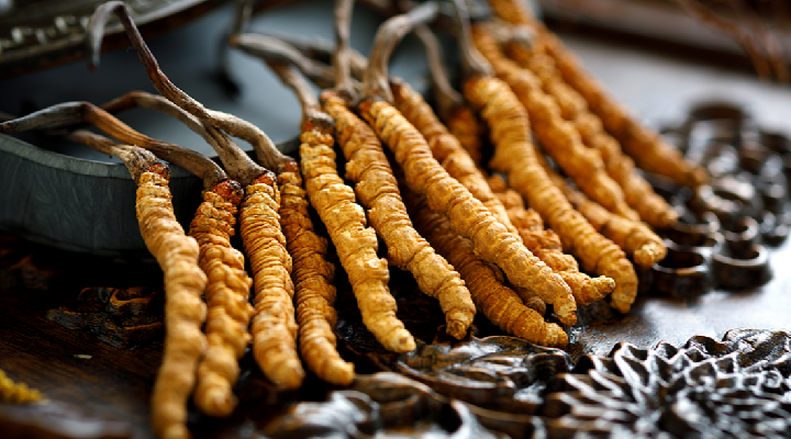 支持珍稀濒危中药材替代品研制 国家药监局、国家中医药局联合发布公告