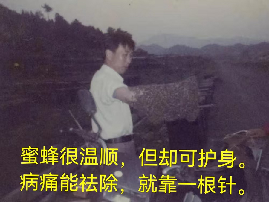 81958b9adbd289f6f67fed6e4d75bb6