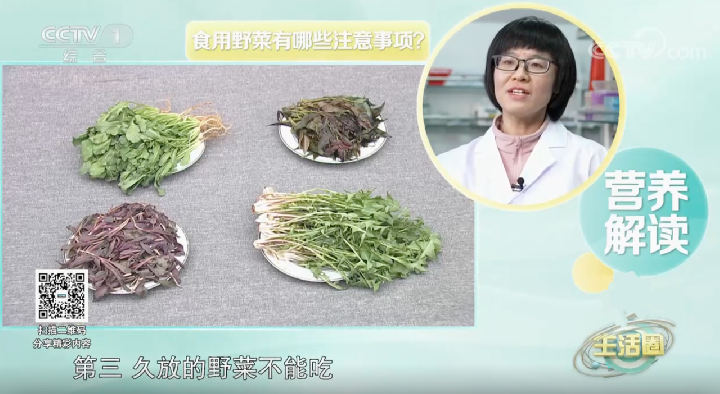 春天推荐吃这4种野菜 如何正确食用？请收藏
