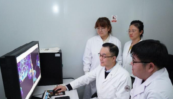 “晒太阳”能加速伤口愈合？中国科学家研制新型仿生材料