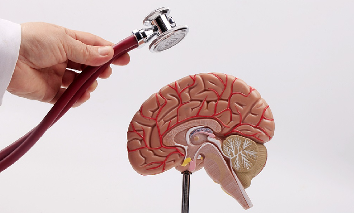 中国卒中专科联盟成立卒中护理与慢病管理委员会